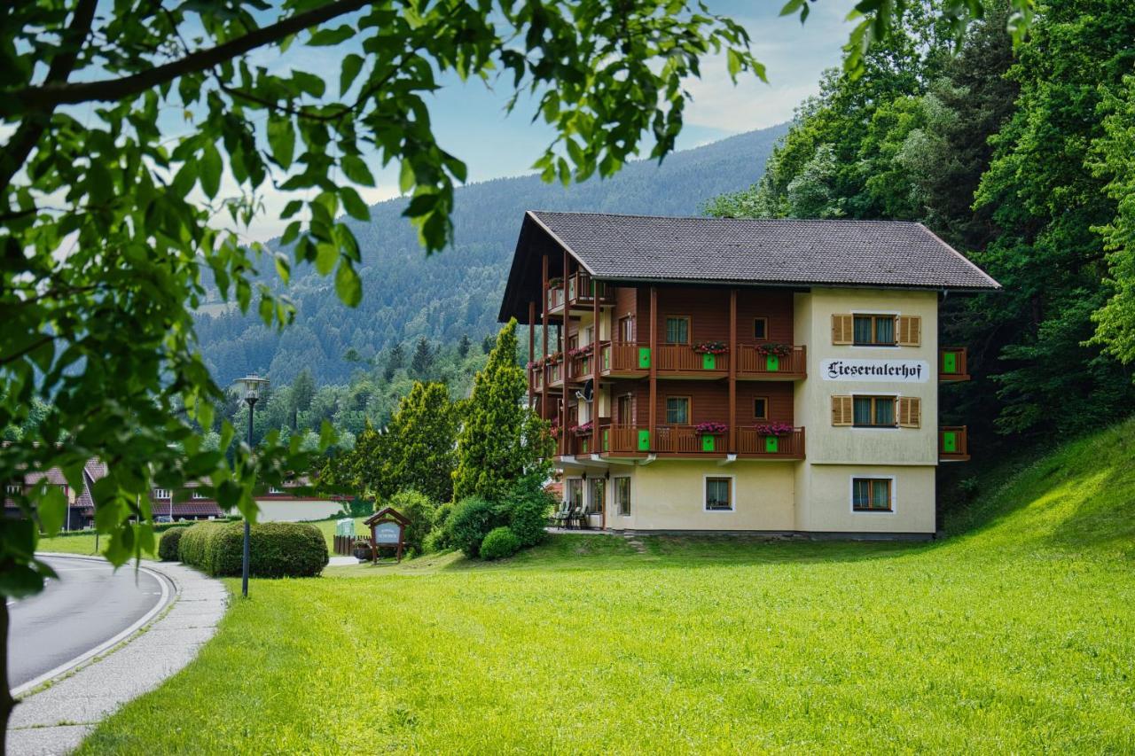 Pension Liesertalerhof Trebesing Bagian luar foto